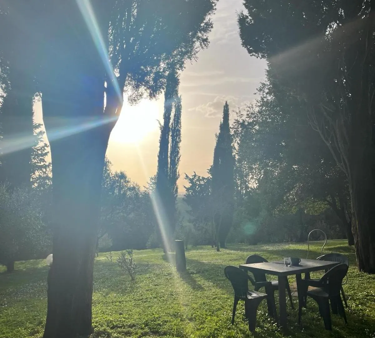 Agriturismo La Torre Di Monsindoli Siena Agroturismo