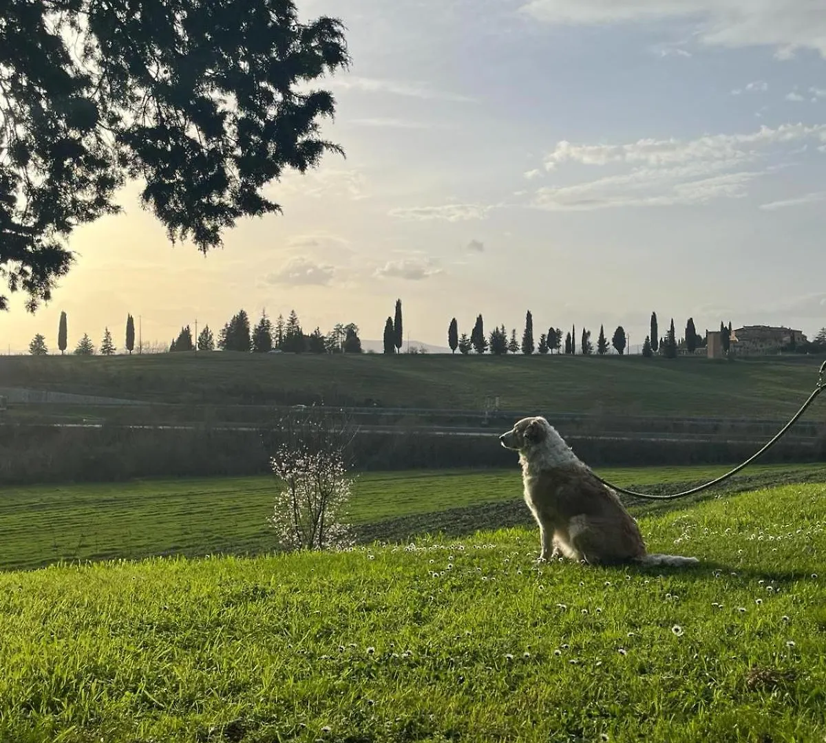 Agriturismo La Torre Di Monsindoli Siena Agroturismo